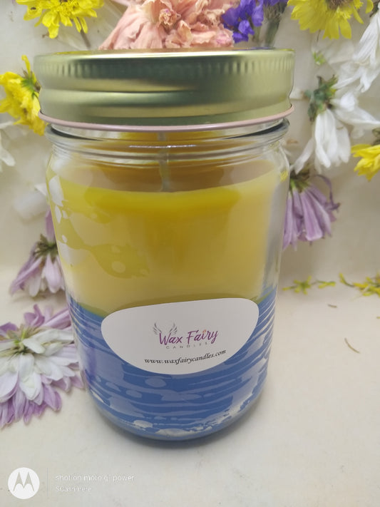 Lemon-berry delight Scented Candle